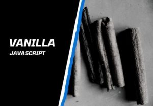What is Vanilla JavaScript? | Software Developer India